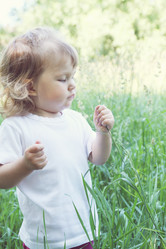 Similar image 2885900