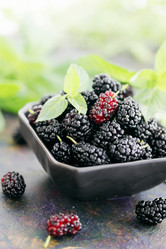 Similar image 2885912