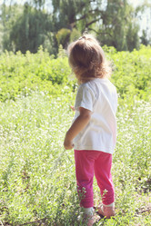 Similar image 2885928