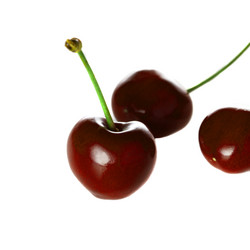 Similar image 2885967