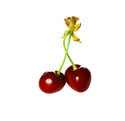 Similar image 2885983