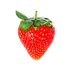 Similar image 2886014