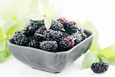 Similar image 2886105