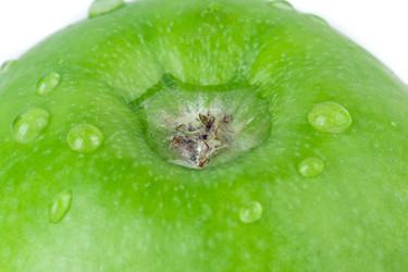 Similar image 2886199