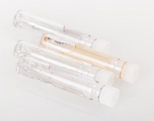 Similar image 2886209