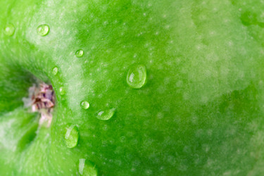 Similar image 2886215