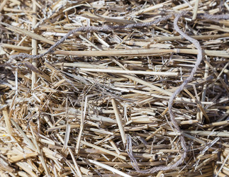 Similar image 2886219