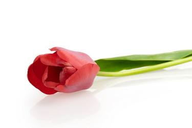 Similar image 2886224