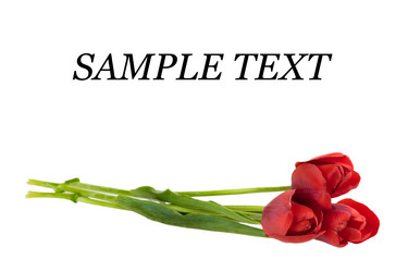 Similar image 2886225