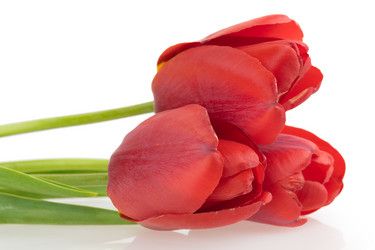 Similar image 2886226