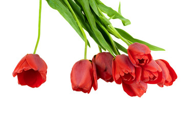 Similar image 2886227