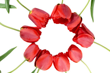 Similar image 2886228