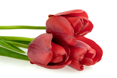 Similar image 2886259