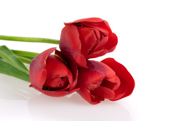 Similar image 2886261