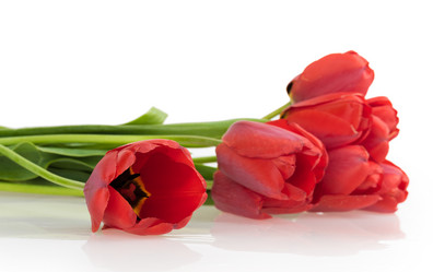 Similar image 2886262