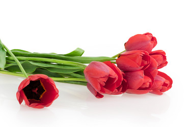 Similar image 2886264