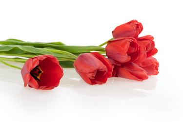 Similar image 2886266