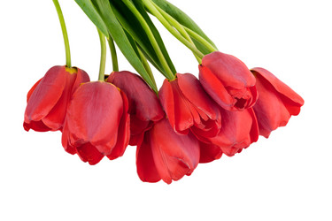 Similar image 2886267