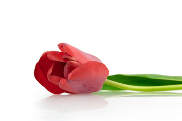 Similar image 2886269