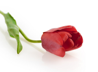 Similar image 2886270