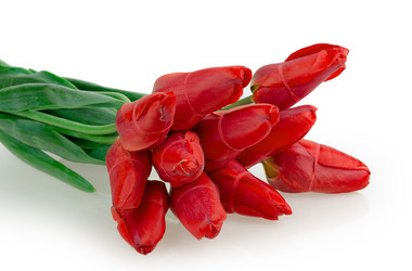 Similar image 2886275