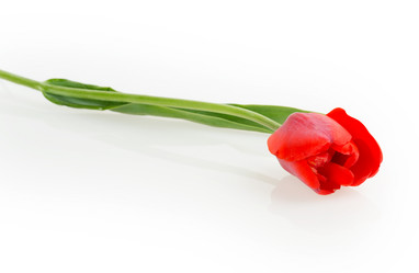 Similar image 2886277