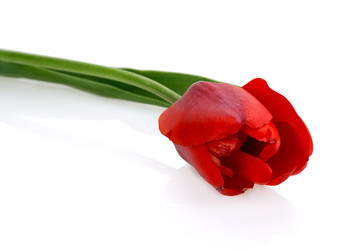 Similar image 2886278