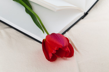 Similar image 2886289