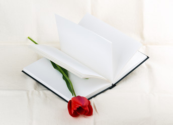 Similar image 2886290