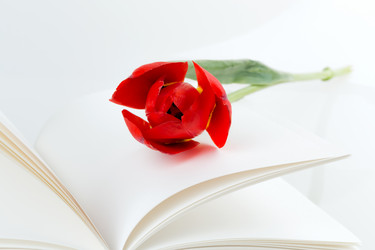 Similar image 2886291