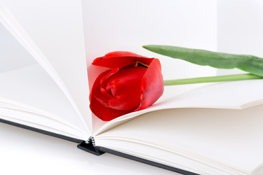 Similar image 2886292