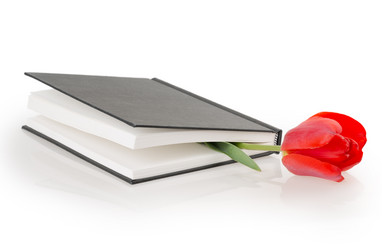 Similar image 2886293