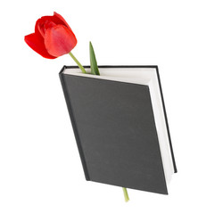 Similar image 2886294