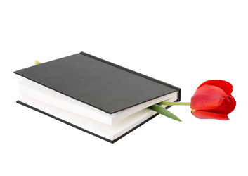 Similar image 2886296