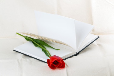 Similar image 2886298