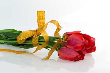 Similar image 2886300