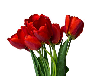 Similar image 2886313