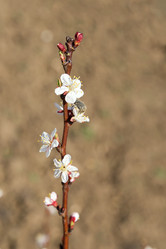 Similar image 2886316