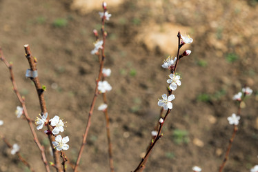 Similar image 2886317