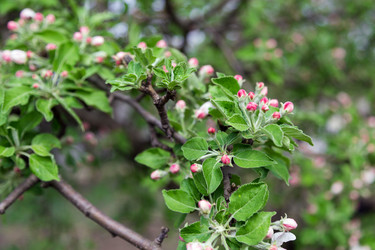 Similar image 2886337