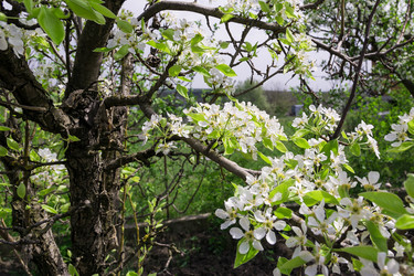 Similar image 2886339