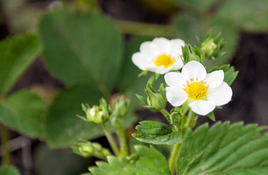 Similar image 2886340