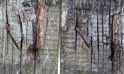 Similar image 2886343