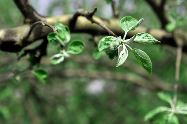 Similar image 2886346