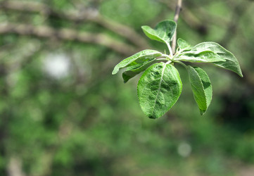 Similar image 2886347