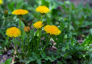 Similar image 2886352