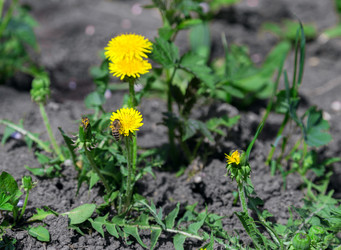 Similar image 2886353