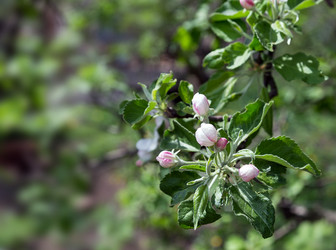 Similar image 2886354