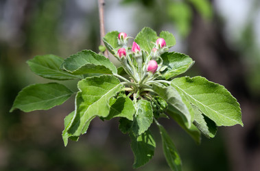 Similar image 2886355