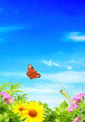 Similar image 2886619